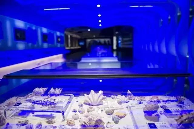 深圳15个最适合一日游的景点…人少景美还免费！