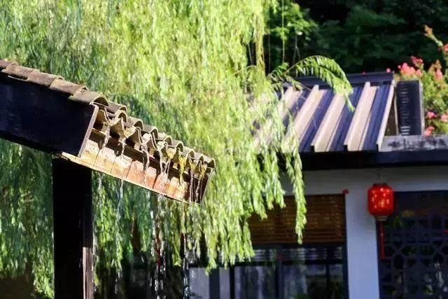 深圳15个最适合一日游的景点…人少景美还免费！