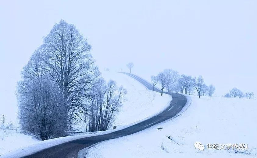 四月飞雪