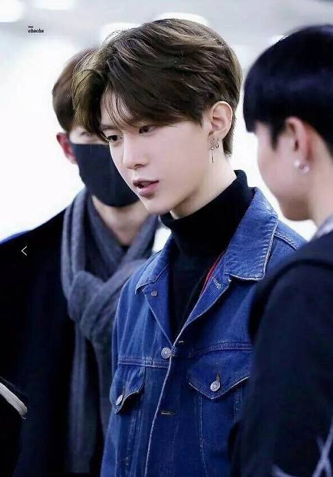 范冰冰弟弟出道 韩网评论:赚了钱就会回国