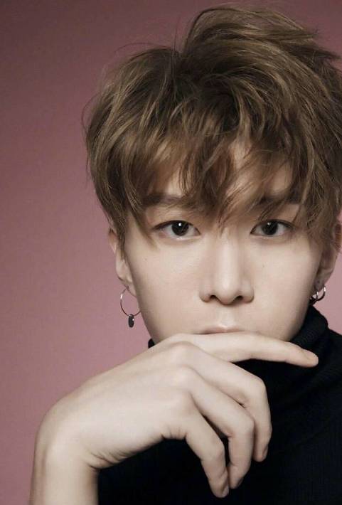 范冰冰弟弟出道 韩网评论:赚了钱就会回国