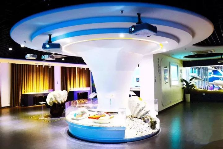 深圳15个最适合一日游的景点…人少景美还免费！