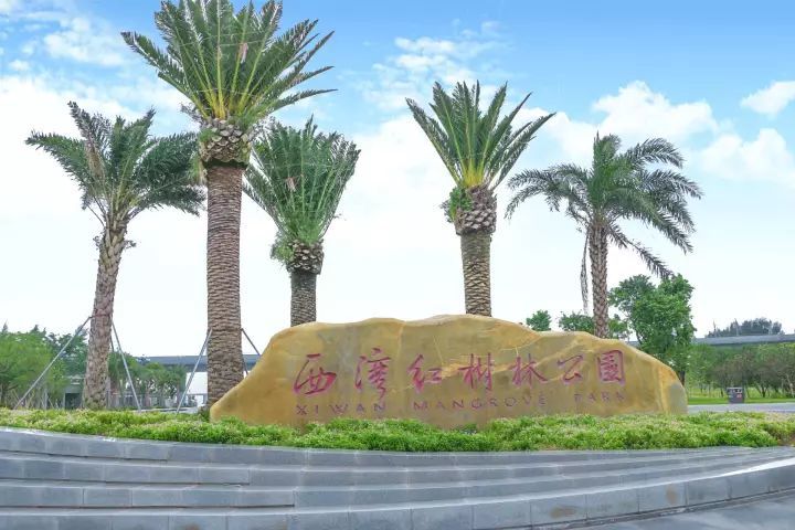 深圳15个最适合一日游的景点…人少景美还免费！