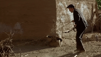 阿洛说: 你是国家执法人员,牵着一只猪满街跑,怪好看!