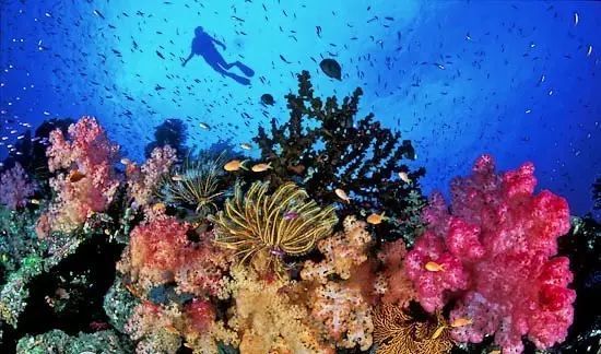 巴厘岛火山警报1月解除,机票便宜得我想哭怎么