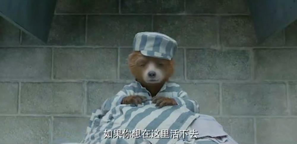 要去看哦 《帕丁顿熊2》终极预告公开