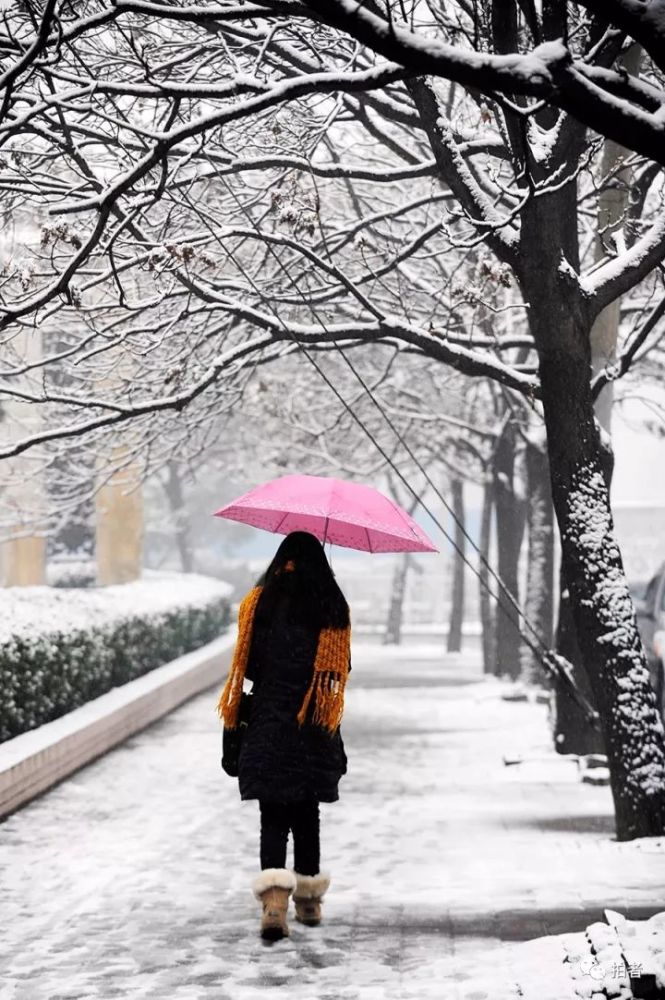 图片集锦:北京初雪