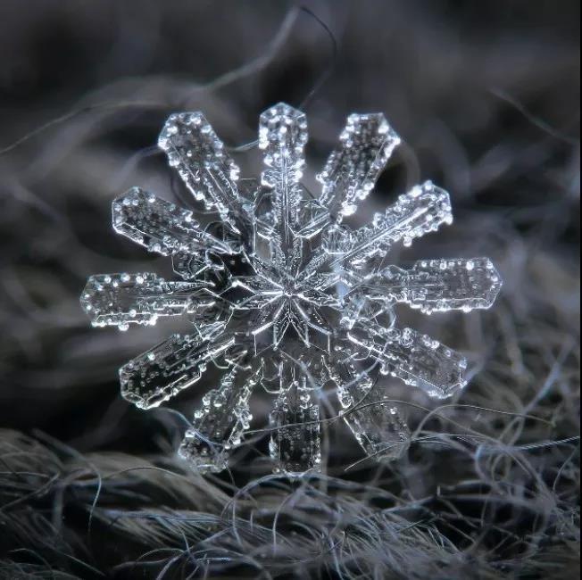 看了这组图,你还敢说你见过真正的雪花吗?