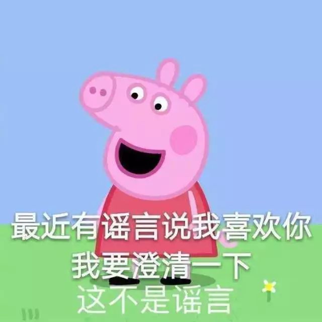 开个玩笑啦 小猪佩奇可是正经动画片哦(认真脸) 编辑 | 孙瑶佳 吕鸿鑫