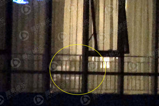 谢霆锋王菲亲吻共餐被曝复合