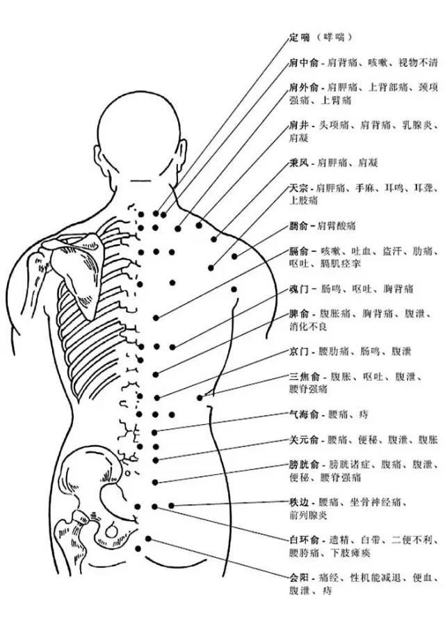 膀胱俞穴的作用:治疗膀胱诸症,腹痛,腹泄,便秘,腰脊强痛 秩边穴的