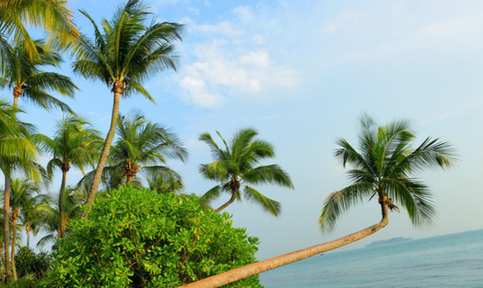 十一去新加坡天气怎么样 国庆节去新加坡旅游