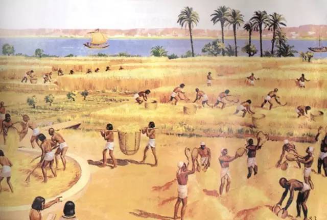 古埃及文明的发展首先得益于 尼罗河,每年尼罗河水定期泛滥时,夹带着