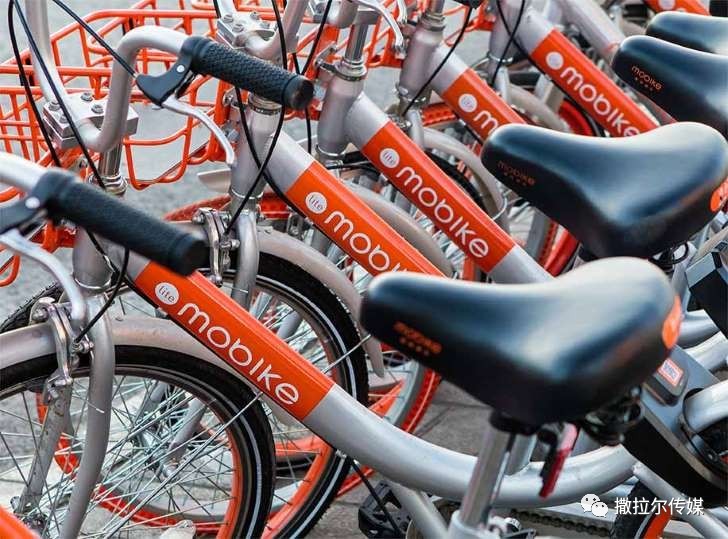 中国各大城市的新世界奇观:单车坟场是谁玩坏