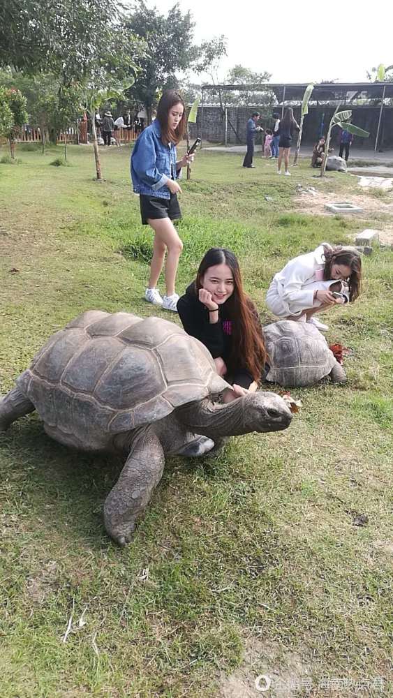 海口不一样的动物园