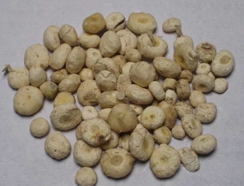 中风口眼歪斜、破伤风?1种中药就能治,祛风定