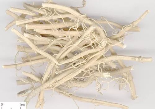 中风口眼歪斜、破伤风?1种中药就能治,祛风定