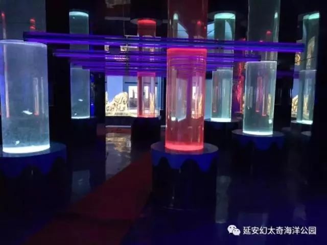 延安首家大型海洋馆