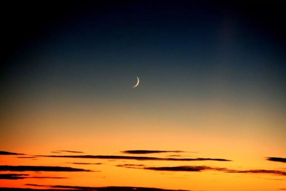 海日生残夜,江春入旧年