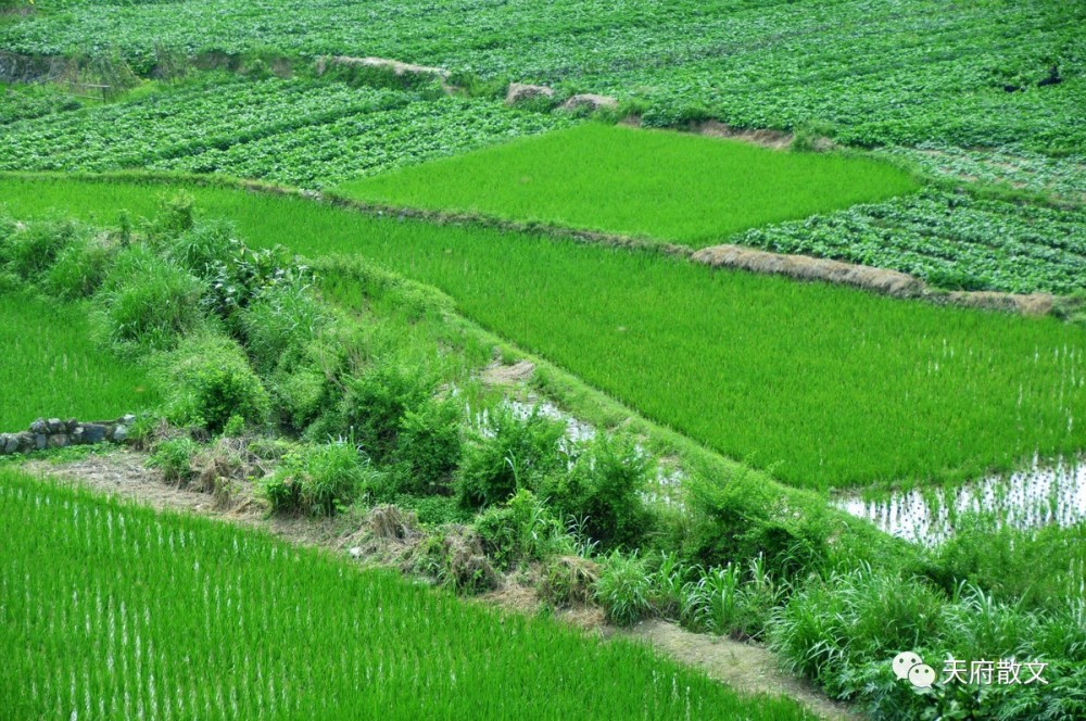 我的童年和少年