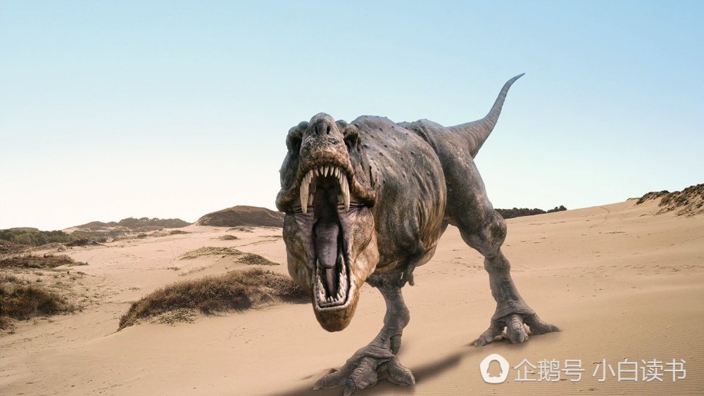 考古学家发现,冰河时期还存活下来的的恐龙,仅有一条!
