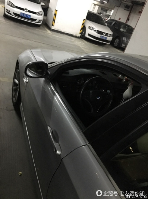 深圳一寶馬司機太粗心 網友替你捏把汗