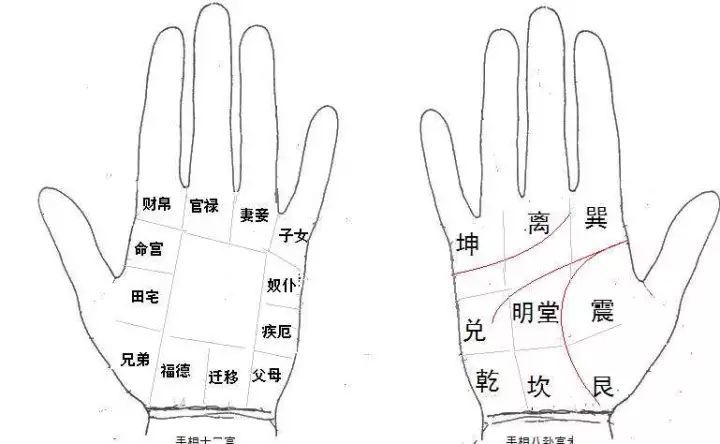 手相:"男左女右"行得通吗?