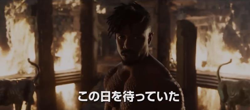 猫咪打架？《黑豹》新预告公开