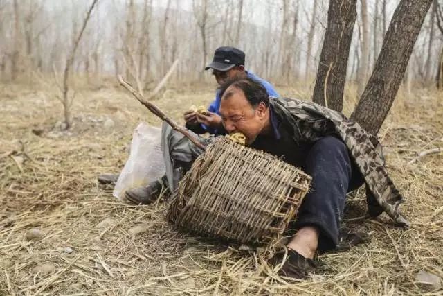 将枝条种下,贾其文就用脚夹起水桶,给这些刚种下的树枝小心翼翼地浇水