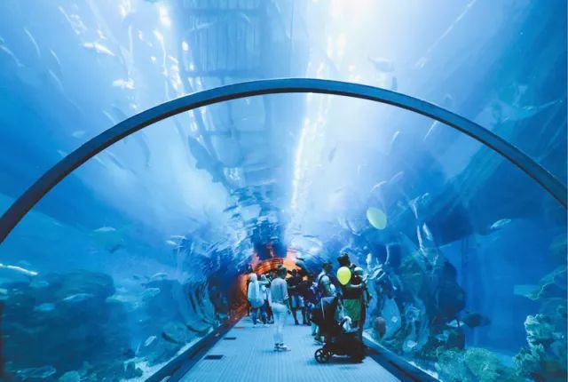 好闺蜜，旅行去！爱上神奇的迪拜