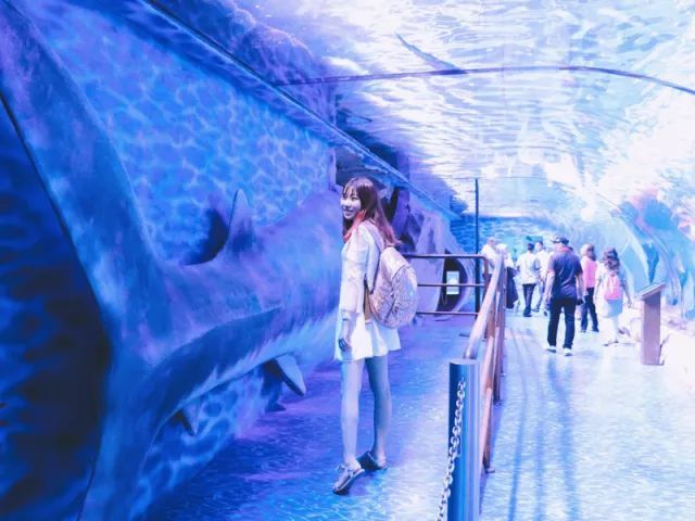 好闺蜜，旅行去！爱上神奇的迪拜