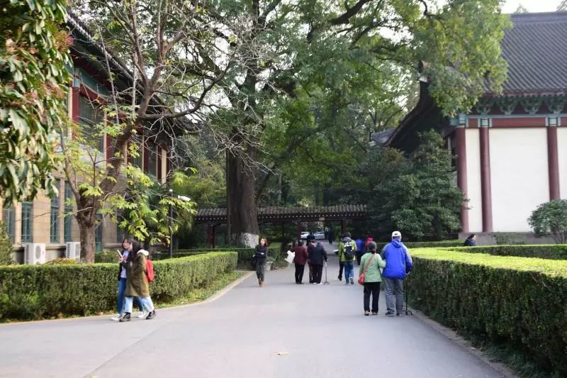 南京大屠杀期间,位于国际安全区内的金陵女子大学是年轻女性的收容所