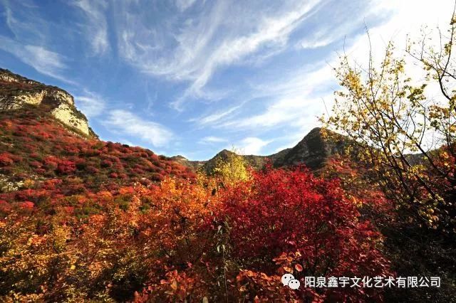 《红岩岭风光》高洁