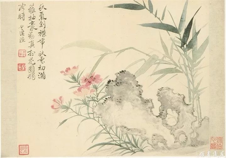 恽寿平没骨花鸟画精品大观235p