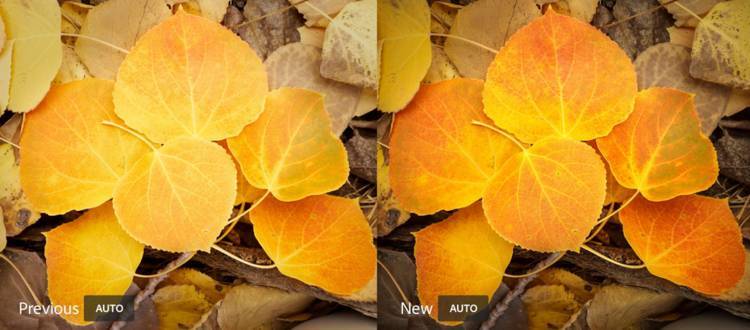 修图手残星人有福了：Adobe让你几秒就能修出大师级照片