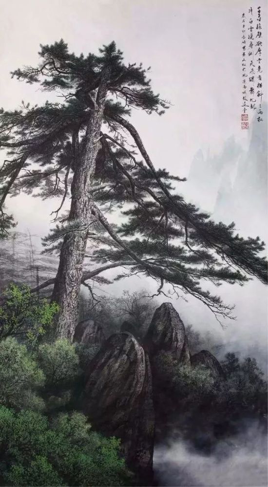 大奶奶,南山的不老松