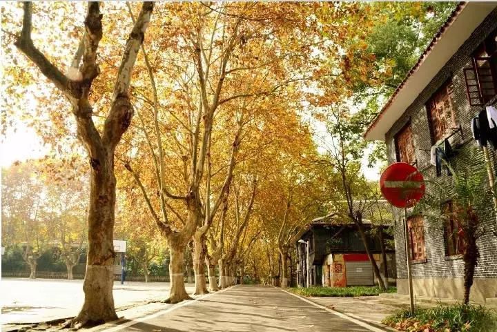 西华师范大学校园美景
