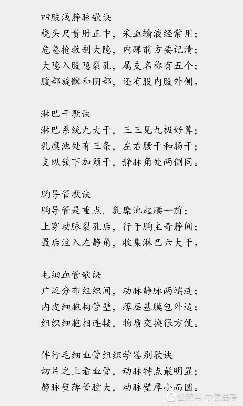 复杂的人体解剖知识怎么记忆最容易?这些口诀最好背下来!