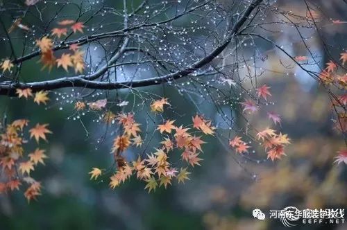 2017中国深圳第五届东方美学引领世界新时尚