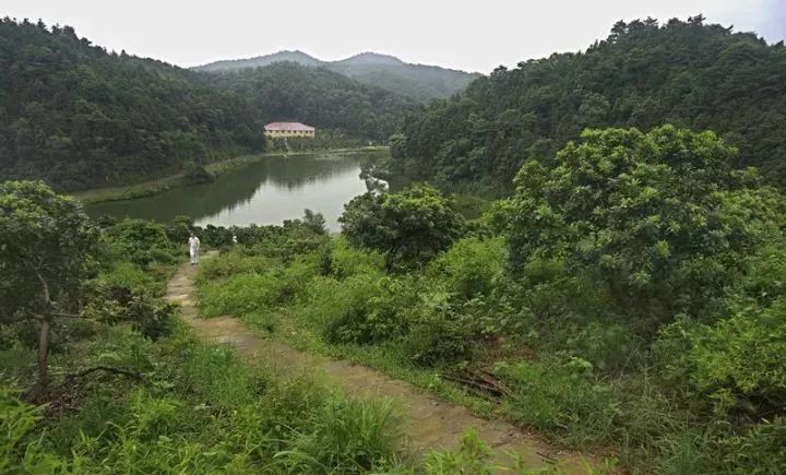 咱新余又一地方被评定为江西省4A级乡村旅游