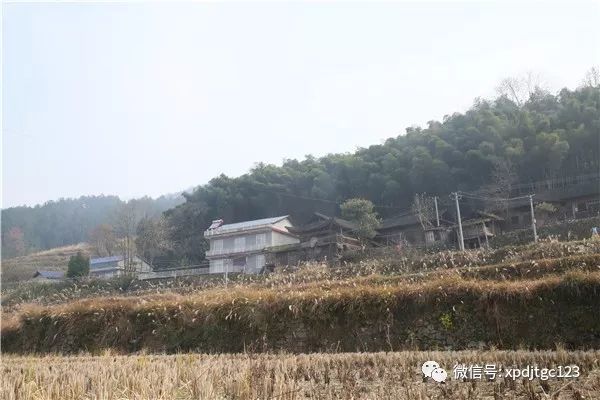 村至西溪坪火车北站31公里:满坡的木瓜籽儿.满