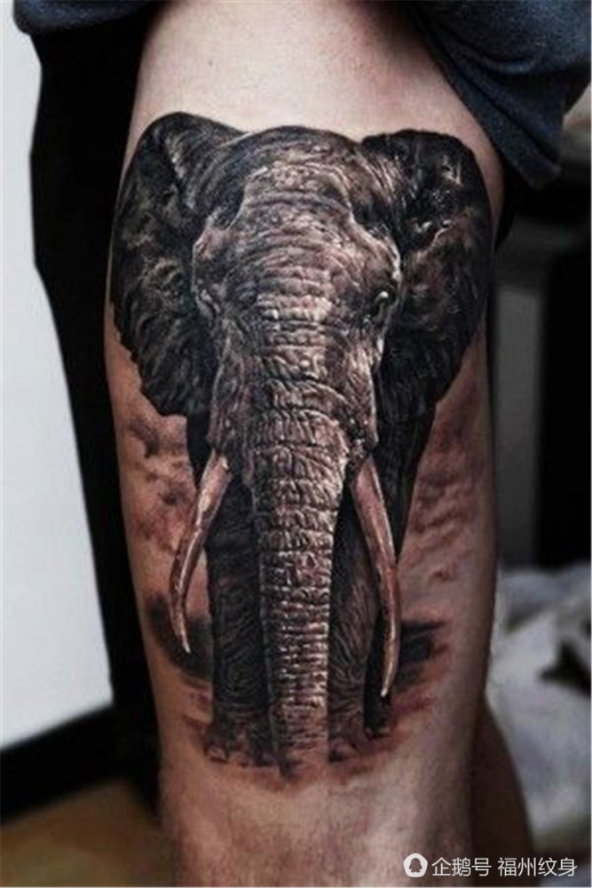 很多人纹大象纹身图案,你知道其中的意义吗?