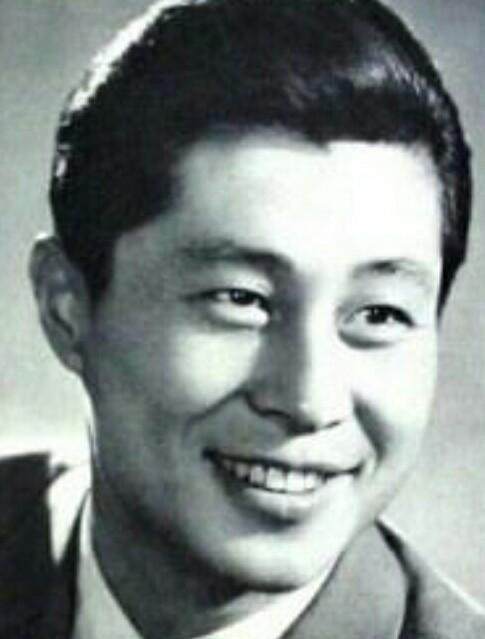 王心刚杨昭采结婚照