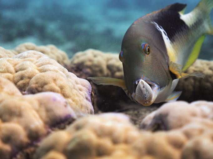 史上评分最高的纪录片是如何诞生的?