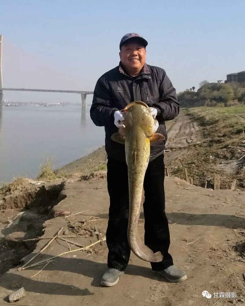 鄂州钓鱼爱好者长江钓起20余斤"鲶鱼王"