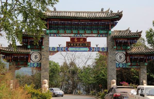 易武茶山不同武茶区可是和易的哦!视频迅闪开退图片