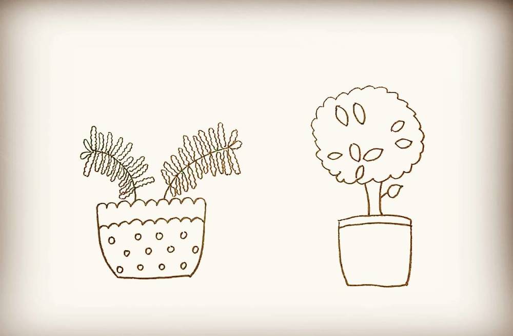 简笔画-含羞草盆栽