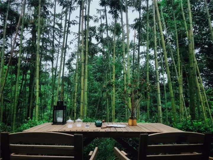温泉泡池躺看云海,山林派对吃茶微醺,睡进青城山下这家神仙民