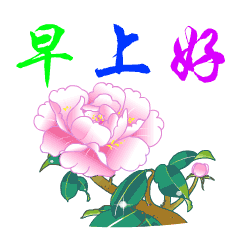 微信早上好问候语 早安问候语