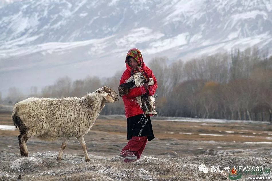 塔吉克情歌《花儿为什么这样红》